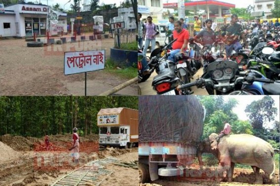State is receiving only 50 pc of petrol due to the bad shape of National Highway 8-44 thereby spiking up acute petrol crisis in state, Tripura government has proposed IOC to dispatch fuel by freight train: Food and Civil supplies Director talks to TIWN State is receiving only 50 pc of petrol due to the bad shape of National Highway 8-44 thereby spiking up acute petrol crisis in state, Tripura government has proposed IOC to dispatch fuel by freight train: Food and Civil supplies Director talks to TIWN